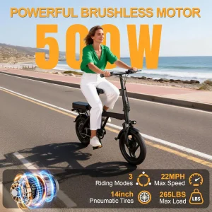 14'' Foldable Electric Bike 500W Motor 48V Battery 22MPH Max Speed 30Miles Long Range